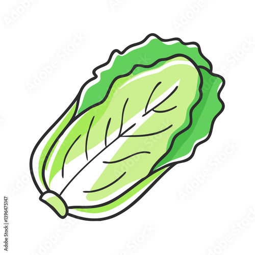 napa cabbage icon, napa cabbage vector illustration-simple illustration of napa cabbage, perfect for napa cabbage logos and icons