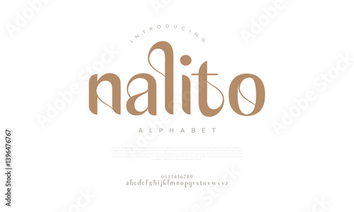 Modern Elegant Display Font Vector for Branding Beauty and Packaging Design