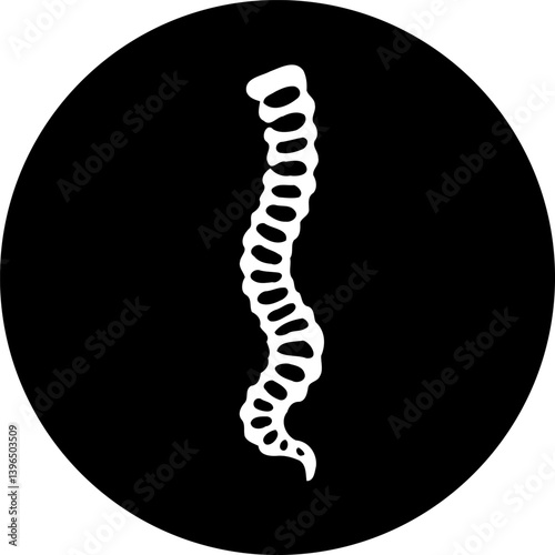 Stylized spinal column on dark background, artistic medical representation