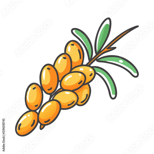 sea buckthorn icon, sea buckthorn vector illustration-simple illustration of sea buckthorn, perfect for sea buckthorn logos and icons