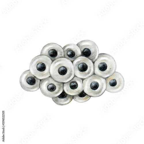 Foto Amphibian spawn on white background realistic painted illustration