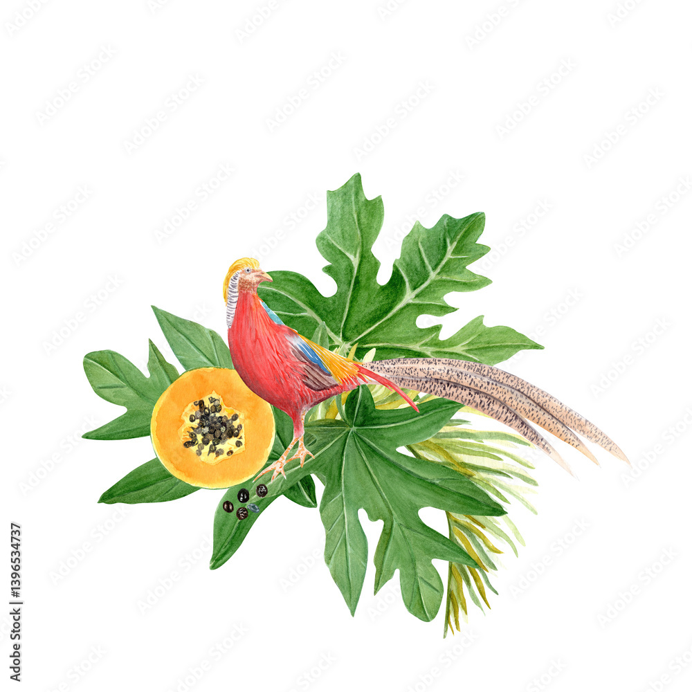 Fototapeta premium Golden pheasant papaya leafs and flowers watercolor illustration isolated on white. High quality hand drawn clip art sketch style perfect for cards, posters, book design decor. Vibrant tropical bird