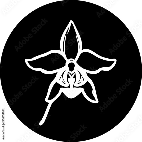 Elegant orchid blossom silhouette on solid backdrop offering simple sophistication