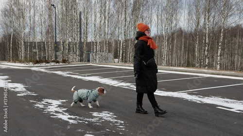 A woman walks her Cavalier King Charles Spaniel in a snowy winter landscape. The dog wears a cozy coat, and the serene surroundings highlight the beauty of the season.