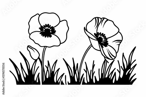 Poppy flowers in continuous line art drawing style. Doodle floral border with two flowers blooming among grass. Minimalist black linear design isolated on white background. Vector illustration