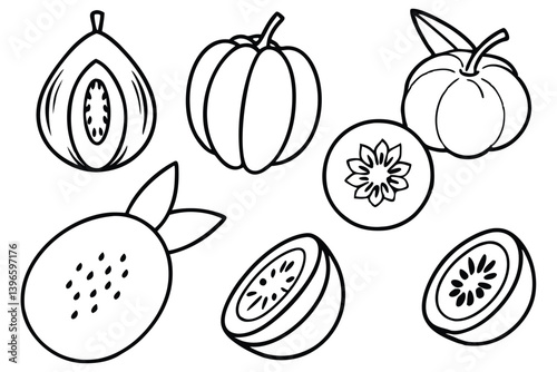 lucuma line art depiction of fresh fruit pattern