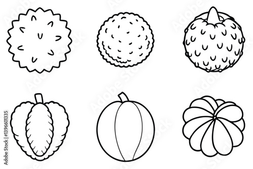 lychee line art minimalist drawing of juicy lychee fruit