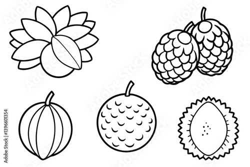 lychee line art fresh fruit design for print use.