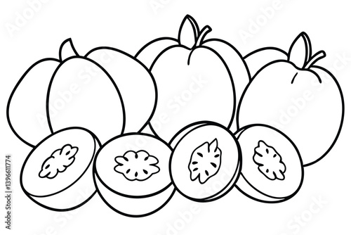 mamey sapote line art tropical fruit sketch outline.