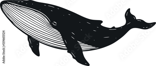 hand draw whale fish vector design mono color
