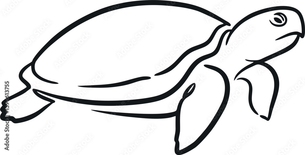 Fototapeta premium hand draw turtle vector design mono color