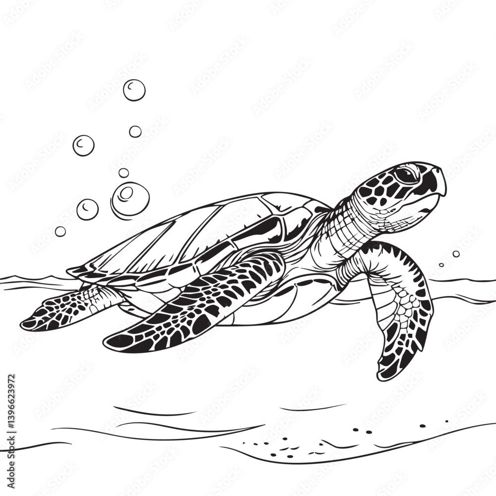 Fototapeta premium vector illustration of a turtle