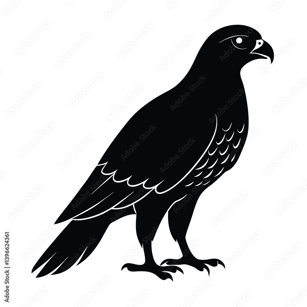 Obraz premium Goshawk Silhouette Vector | Black and White Goshawk Bird Illustration | Hawk Clipart Design
