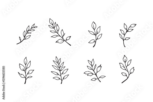 Willow Leaf line art illustration
