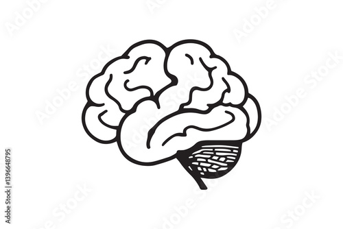 Brain line art illustration