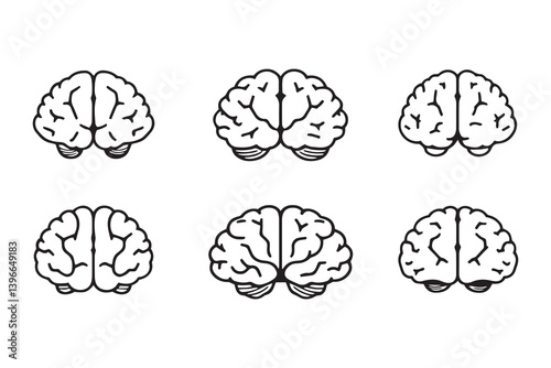 Brain line art illustration