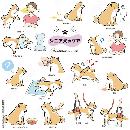 シニア犬ケアのイラストセット