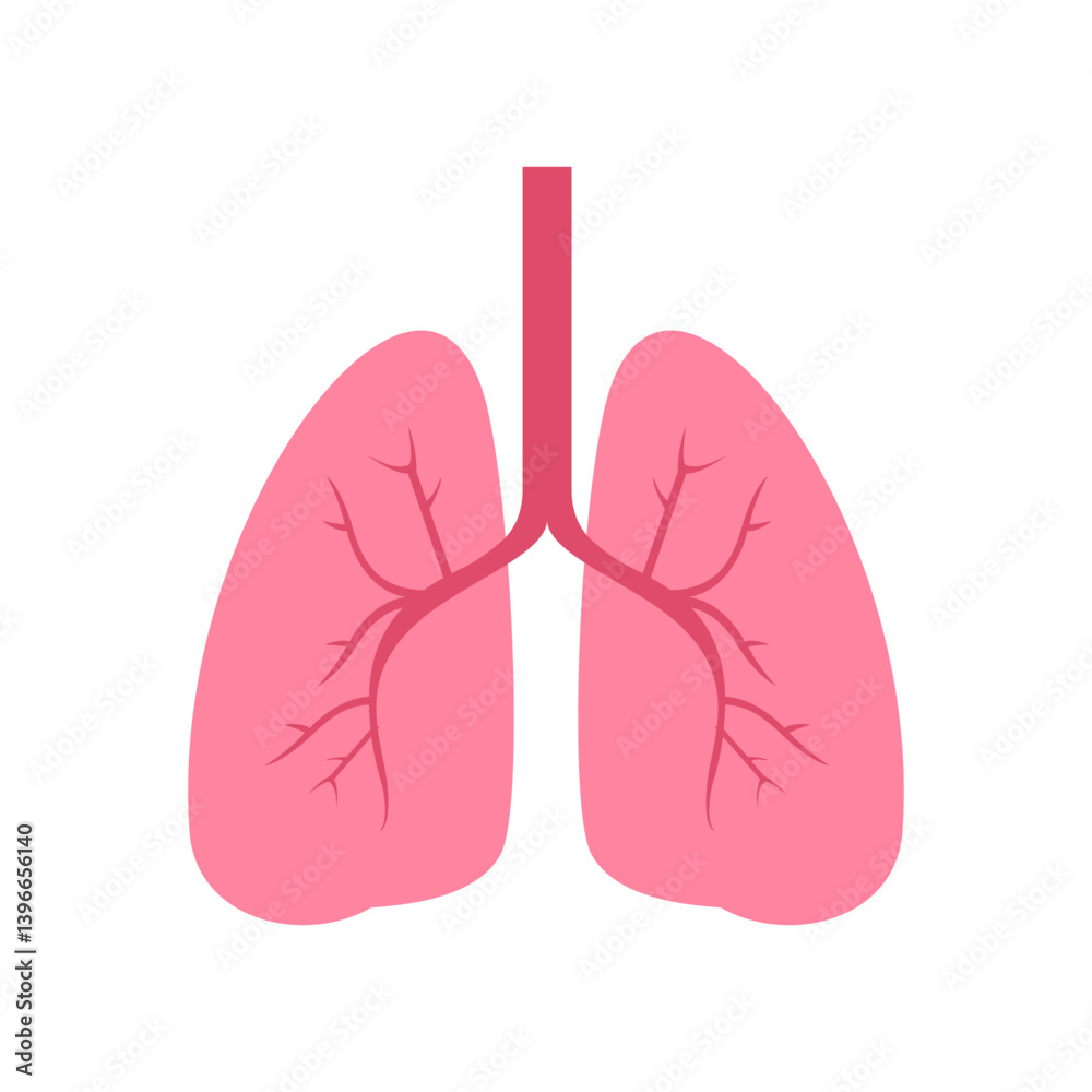 simple flat icon of human lungs perfect for medical, health, respiratory system, and anatomy concepts simple flat icon of human lungs perfect for medical, health, respiratory system, and anatomy concepts