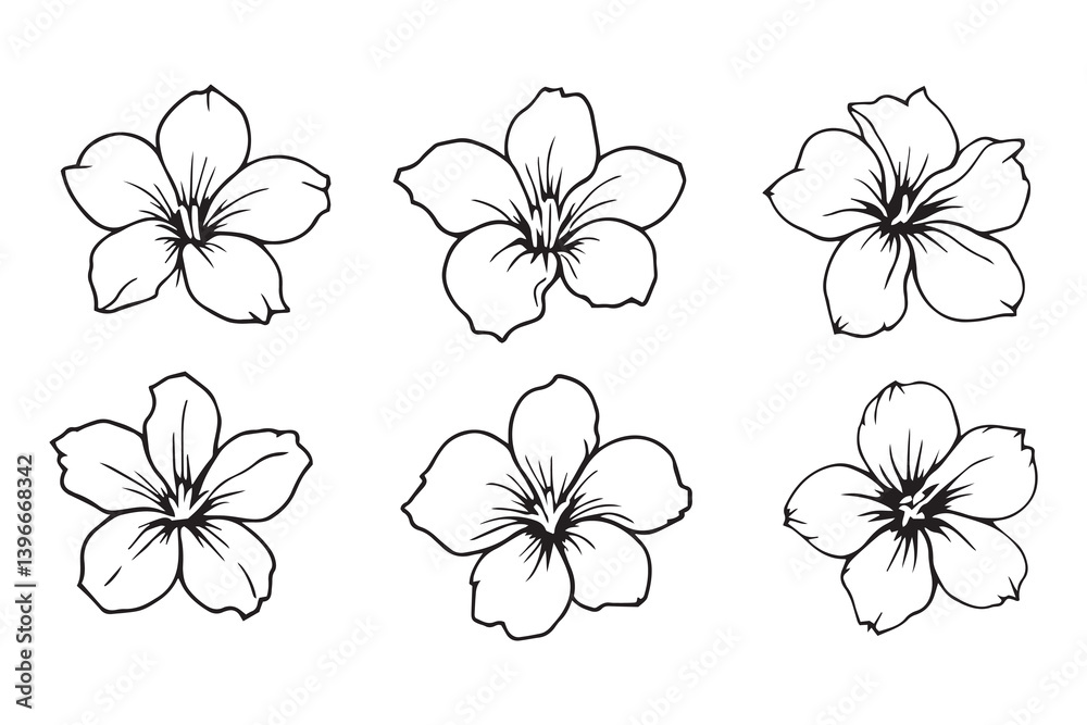 Obraz premium Hawaiian Flower line art illustration