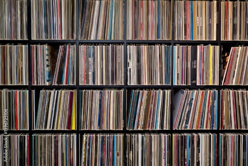 A Vast Collection of Vinyl Records, Beautifully Displayed in an Organized Home Music Library