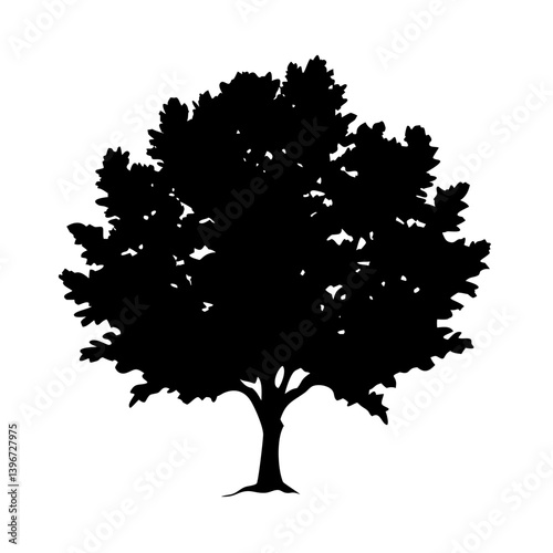 beech tree icon, beech tree silhouette vector illustration-simple silhouette illustration of beech tree, perfect for beech tree logos and icons