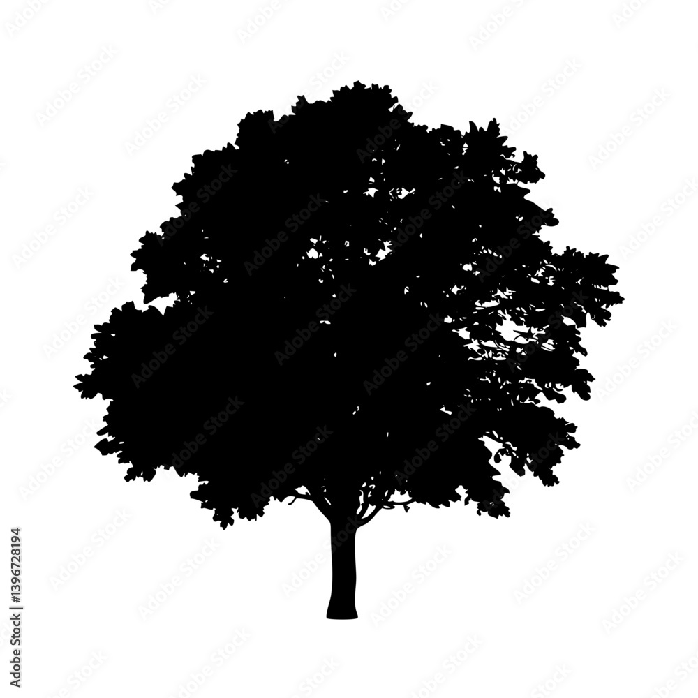 Fototapeta premium sycamore tree icon, sycamore tree silhouette vector illustration-simple silhouette illustration of sycamore tree, perfect for sycamore tree logos and icons