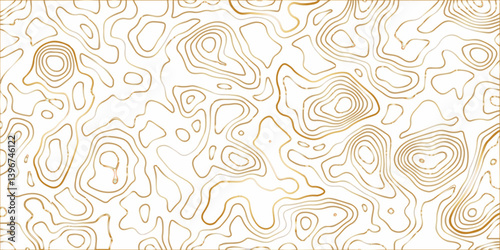 Abstract pattern with swirls Abstract White wave paper curved reliefs background.Panorama view gradient multicolor wave curve lines banner background design. Modern wave line topography. 
