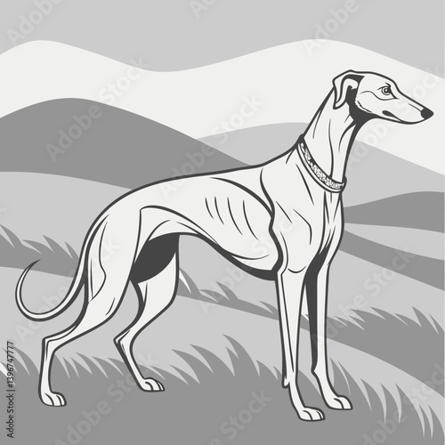​Greyhounds are ancient, elegant dogs known for their exceptional speed and gentle temperament