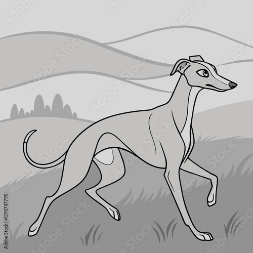 ​Greyhounds are ancient, elegant dogs known for their exceptional speed and gentle temperament