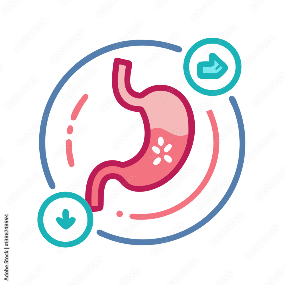 Stomach Digestion Health Icon – Medical and Wellness Symbol for Gut, Nutrition, and Internal Organs