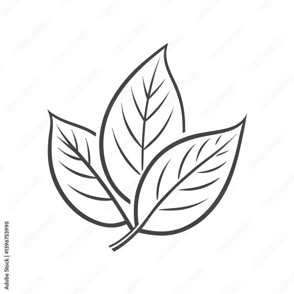 Cluster of leaves in black and white outline