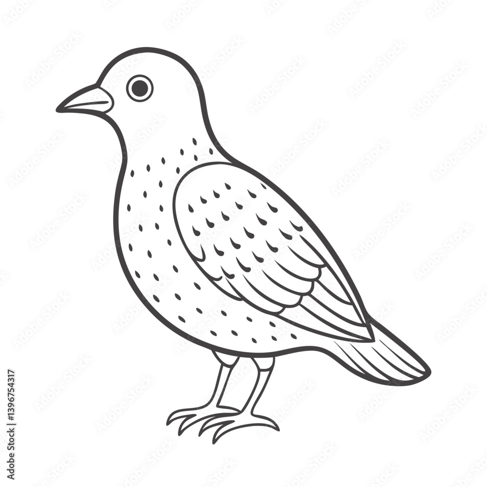Bird outline illustration in black and white