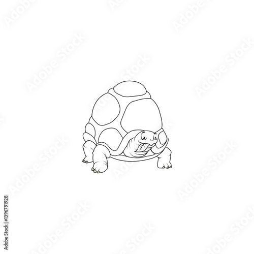 turtle vector illustration