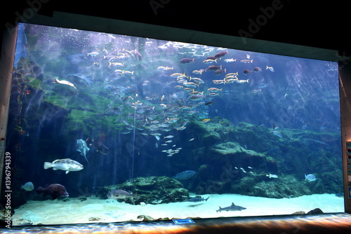 長崎県　九十九島水族館海きらら　水族館