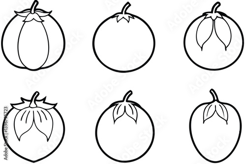 tamarillo line art illustration minimal design abstract fruit drawing