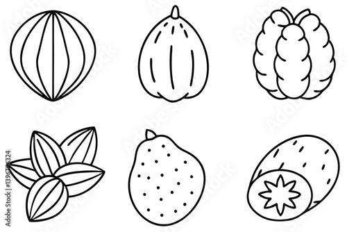 taro fruit line art intricate detailed illustration in black and white