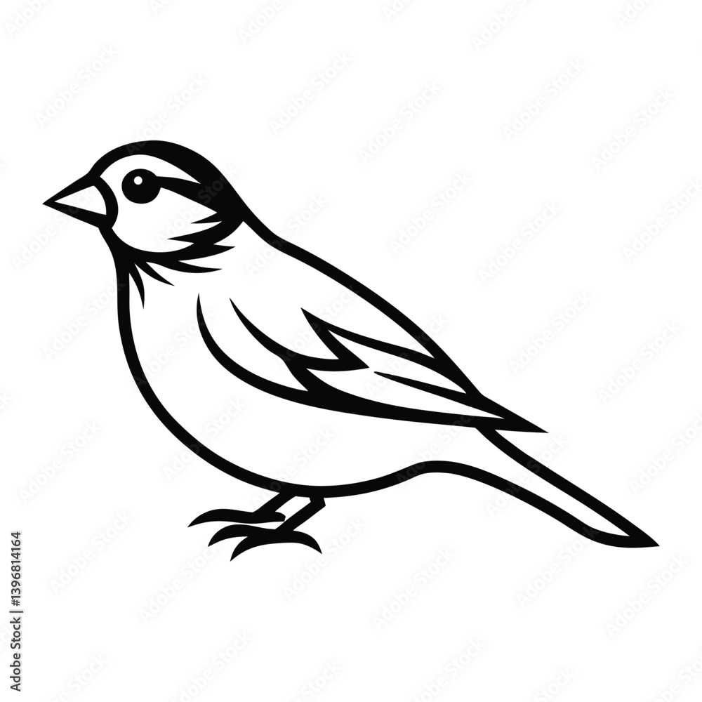 Obraz premium Solid color Eastern Kingbird animal vector design