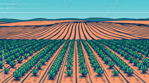 Outline vector illustration of a field with rows of crops