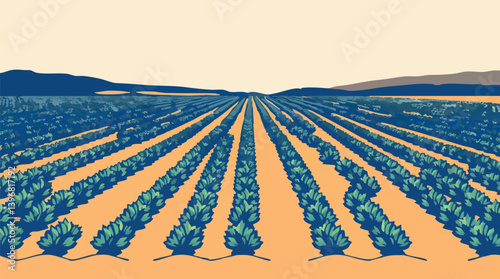 Outline vector illustration of a field with rows of crops