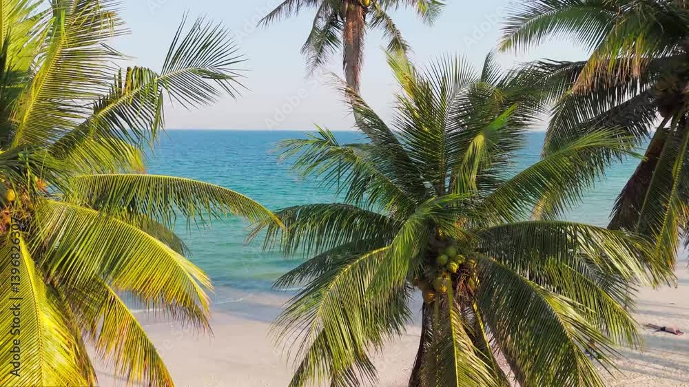 Tropical Paradise Scenery with palm trees in the foreground and turquoise blue ocean and beach in the background. Calm relaxing island landscape. Tropical Paradise Scenery with palm trees in the foreground and turquoise blue ocean and beach in the background. Calm relaxing island landscape.