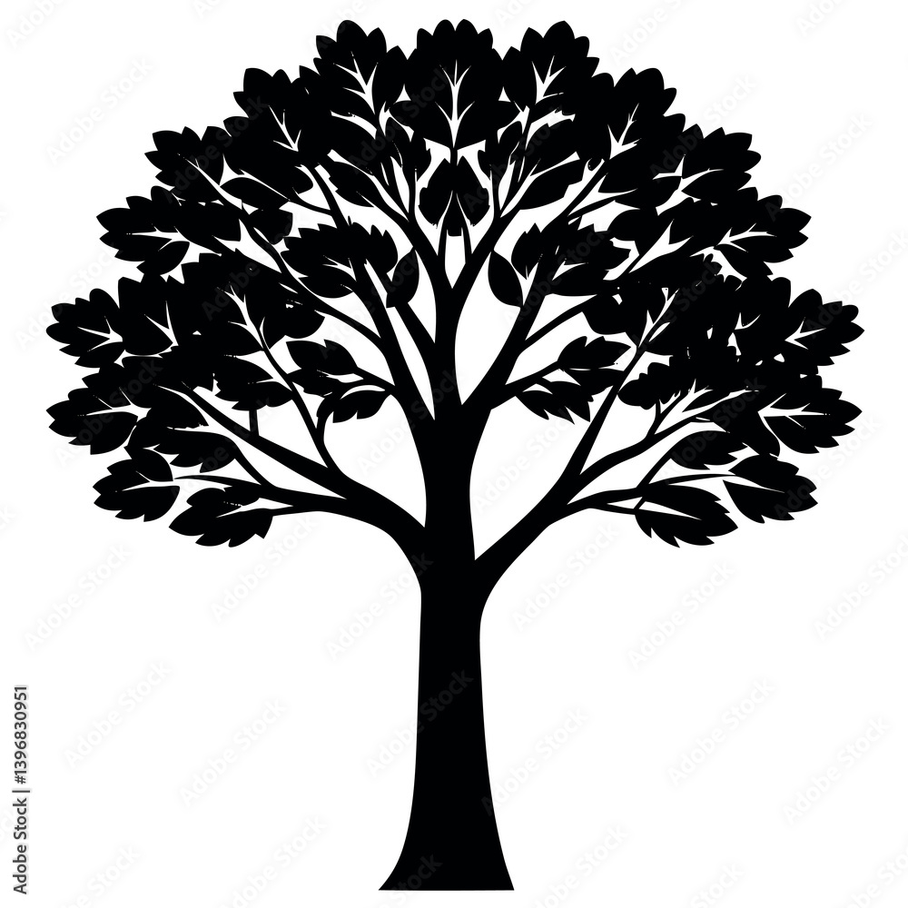 Obraz premium Eucalyptus-tree-silhouette