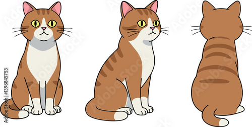 Playful cartoon cat character in three poses featuring a flat design style, showcasing bright colors and adorable expressions, vector illustration