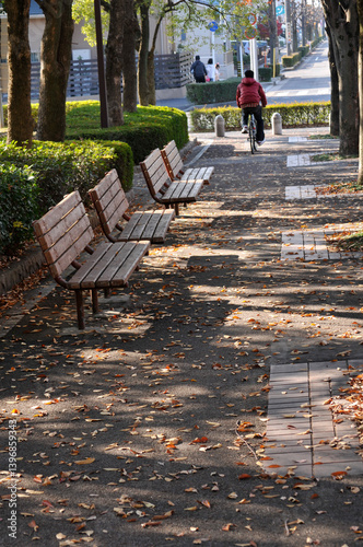 Autumn park bench, walking path, 秋の公園のベンチ, 散歩道