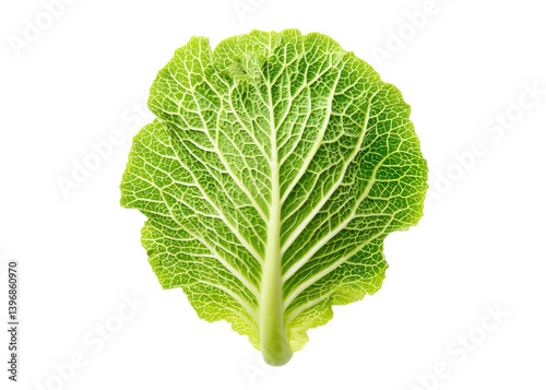 Single savoy cabbage leaf isolated on white background. Fresh green vegetable with detailed texture.