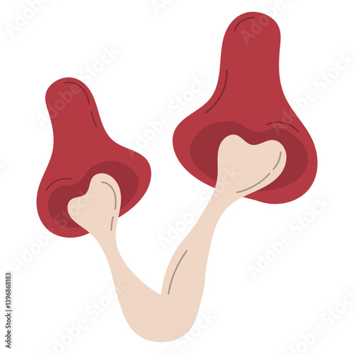 Mushroom Illustration