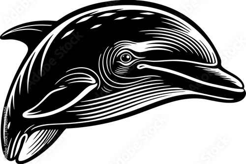This scalable vector features the anaconda’s distinctive features—perfect for use in web, print, merchandise, or digital artwork related to exotic animals, rainforests, or snakes.