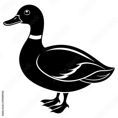 Mallard Duck