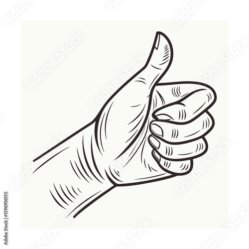 vector hand drawn bird