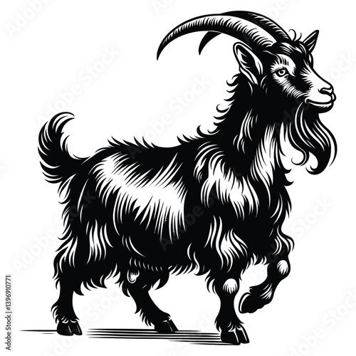 black and white goat