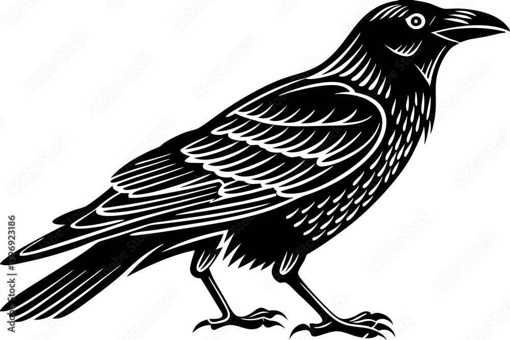 Obraz premium High-quality birds vector illustration featuring a variety of bird species in different styles—perfect for nature-themed designs, educational materials, wildlife branding, greeting cards, posters, and